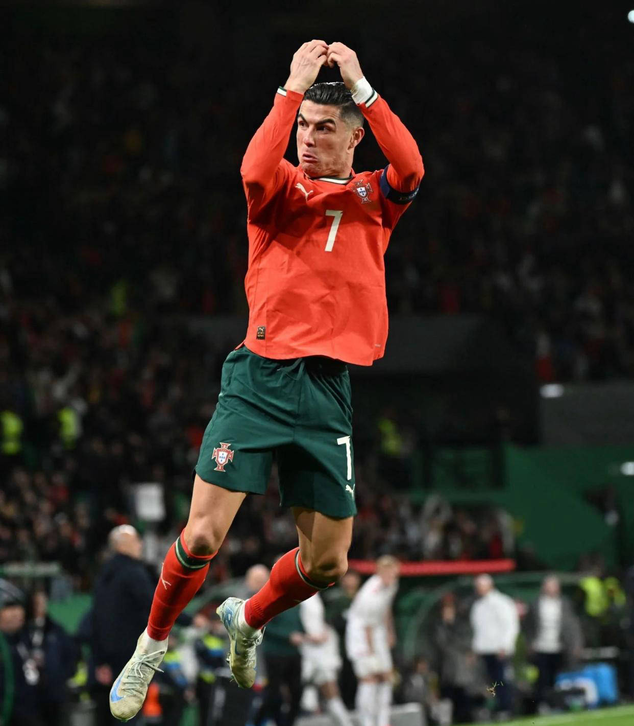 定性与下肢 定性与下肢